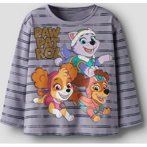 Paw Patrol Top