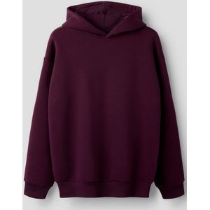 Regular Fit Hoodie