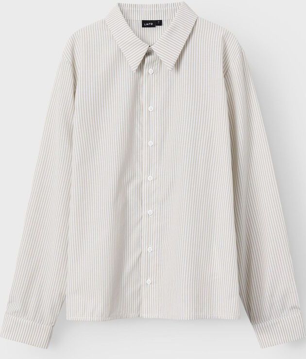 Overhemd - Gestreept - Lange Mouwen - Regular Fit