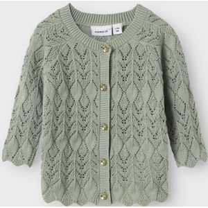 Biologisch Katoen Gebreid Vest