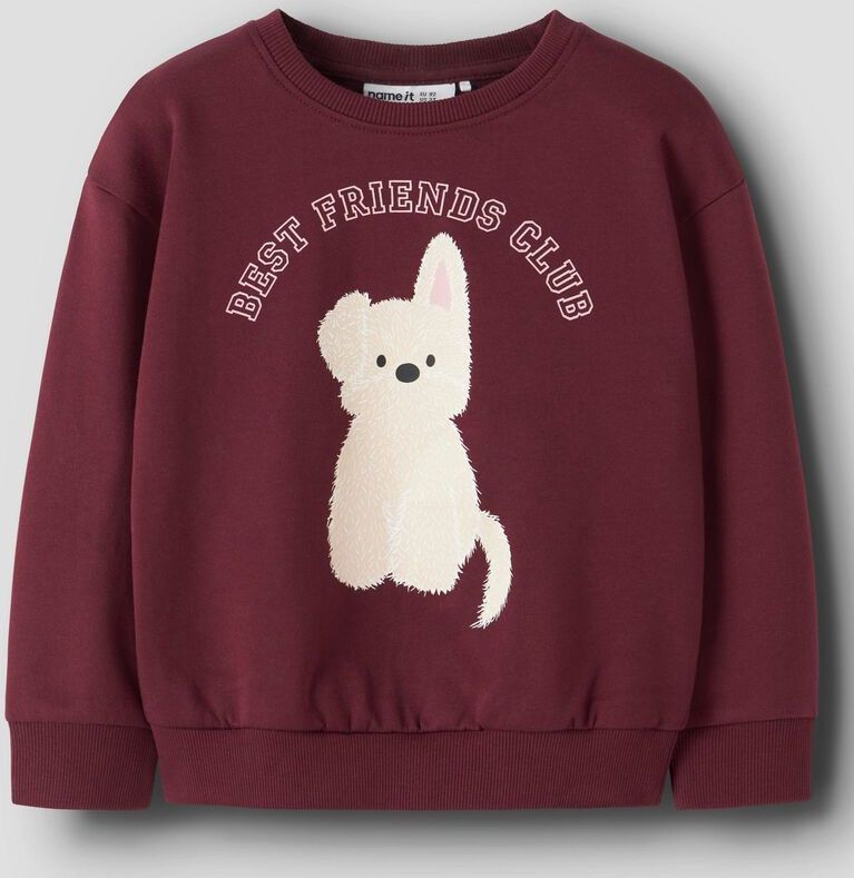 Relaxed Fit Sweatshirt