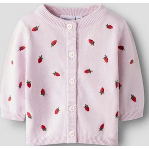 Aardbei Gebreid Vest