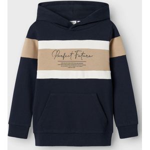 Regular Fit Hoodie
