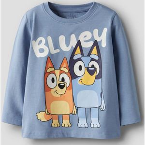 Bluey Top