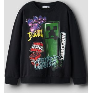 Minecraft Sweatshirt