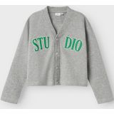 Cardigan - Jersey - Korte Vest - Lange Mouwen - V-hals