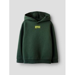 Regular Fit Hoodie