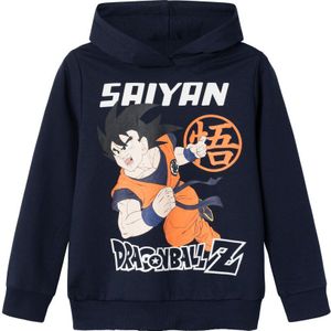 Dragonball Sweatshirt