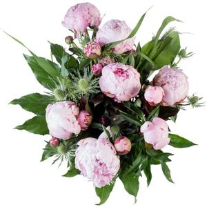 Bloemen –  Boeket Pioenrozen (Middel)