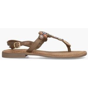 Tanny Bruin/Multi Dames Sandalen