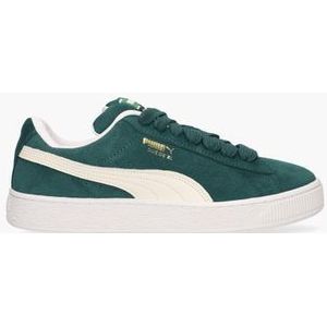 Suede XL 395205-21 Herensneakers