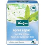 Kneipp Thee Na Het Eten - 15 zakjes