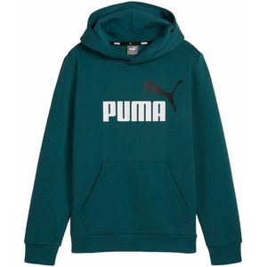Jungen Sweater mit Kapuze Puma