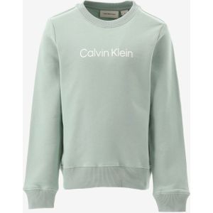 Calvin klein sweater inst. logo regular c maat 128/8J