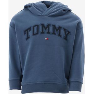Tommy hilfiger hoodie maat 128/8J