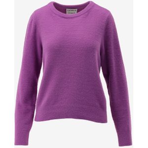 Catwalk junkie trui maat 36