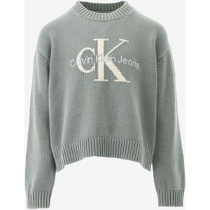 Calvin klein trui monologo sweater maat 128/8J