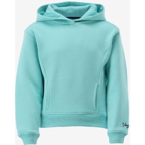 Vingino hoodie nammie maat 104/4J