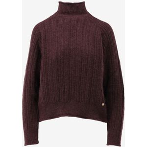 La petite Étoile trui mavi maat 1