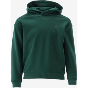 Tommy hilfiger hoodie maat 92/2J