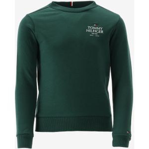 Tommy hilfiger sweater maat 128/8J