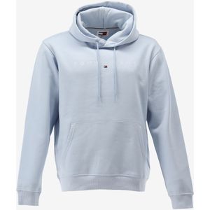 Tommy hilfiger hoodie tjm reg linear logo maat M