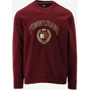 Tommy hilfiger sweater maat XL