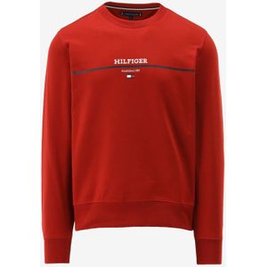 Tommy hilfiger sweater maat S