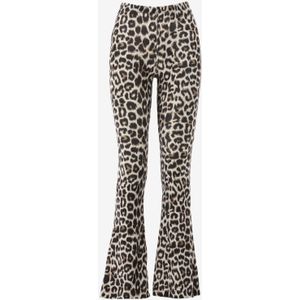 Catwalk junkie bootcut maat 36