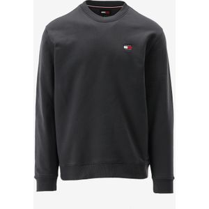 Tommy hilfiger sweater maat S