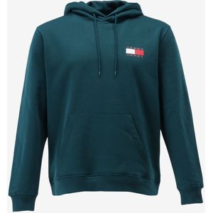 Tommy hilfiger hoodie maat S