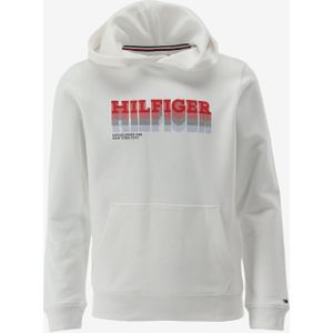 Tommy hilfiger hoodie fade hilfiger hoodie maat 152/12J