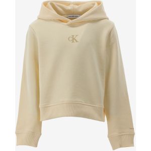 Calvin klein hoodie ck logo boxy hoodie maat 128/8J