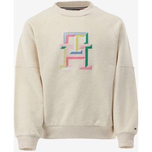 Tommy hilfiger sweater multi color monog maat 152/12J