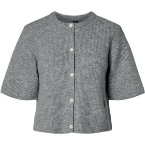 Pcsilly Korte Mouwen Gebreid Vest