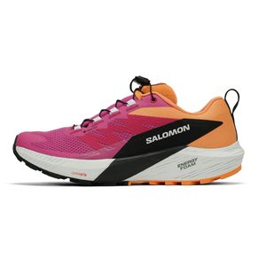 Salomon Sense Ride 5 GTX Dames