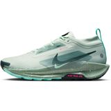 Nike - Pegasus Trail 5 - GORE-TEX Trailrunningschoenen - Grijs