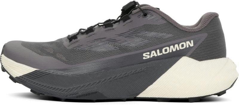 Salomon Pulsar Trailschoenen