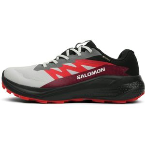 Salomon Alphaglide GTX Heren