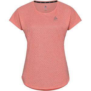 Millenium Kleding online kopen? | BESLIST.nl | Lage prijs Millenium trui kopen? | BESLIST.nl | Lage prijs