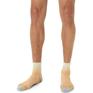 ASICS Performance Run Quarter Socks Unisex