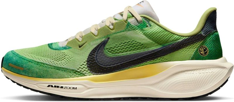 Nike Pegasus 41 SE hardloopschoenen voor heren (straat) - Meerkleurig