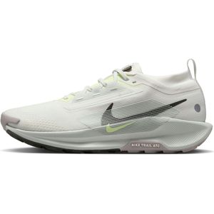 Nike Pegasus Trail 5 GTX Heren