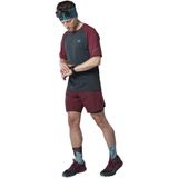 Dynafit - Alpine Pro - T-shirt - Korte Mouwen