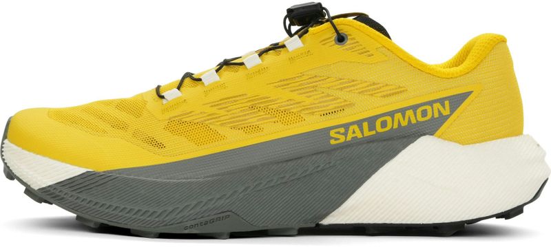 Salomon - Pulsar - Trailschoenen