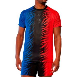 Mizuno DryAeroFlow Graphic T-shirt Heren