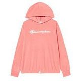 Champion Hoodie Basic Kapuzensweatshirt