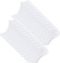 Vincenzo Rosso 24 Paar Sneaker Socken