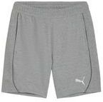Puma Hose Teamfinal Casuals Shorts