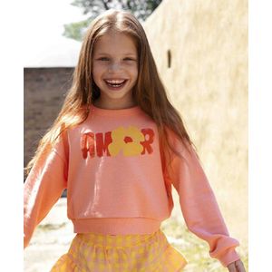 Ammehoela Sweater Yara